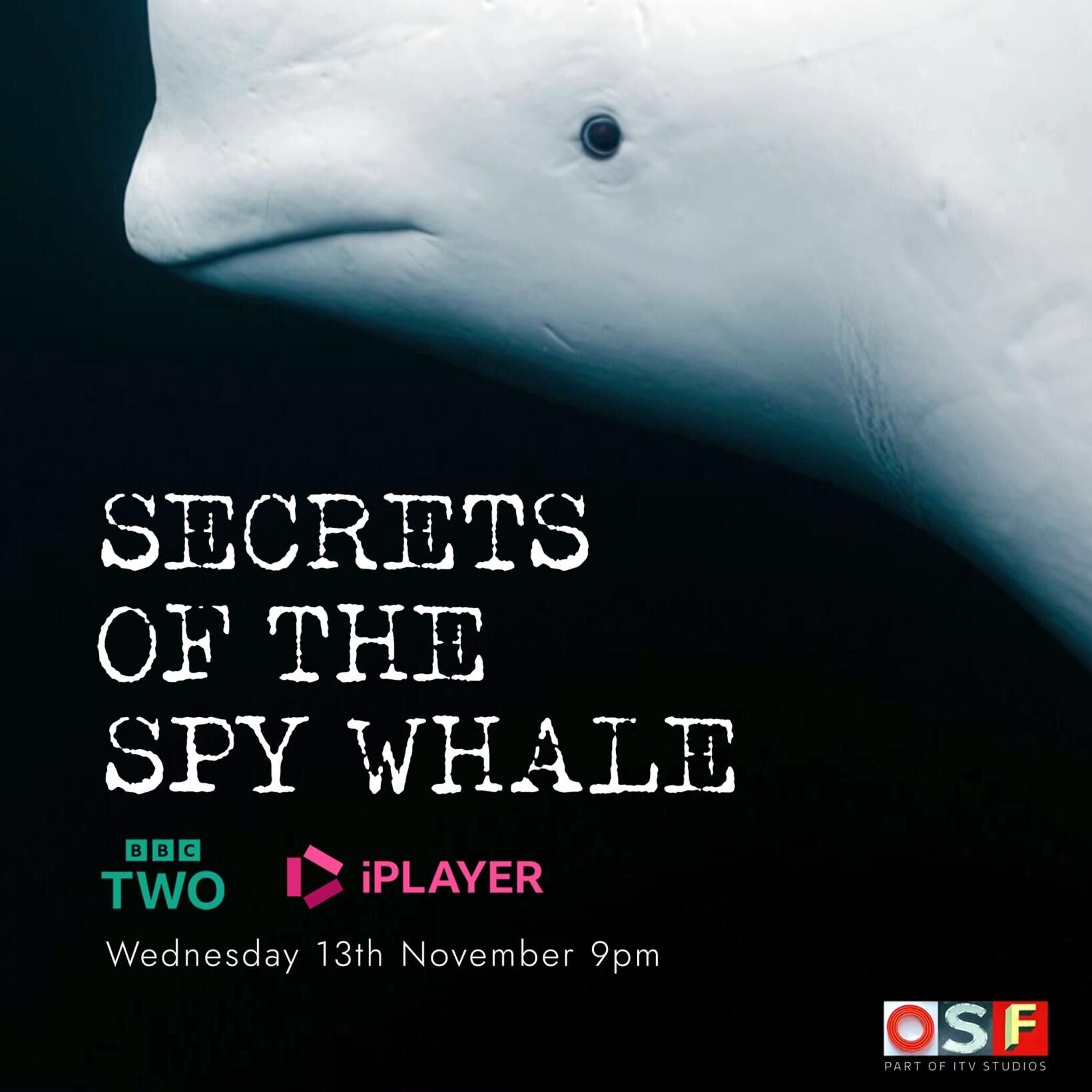 Secrets of the Spy Whale Cast, OTT, Budget, Box Office, And More