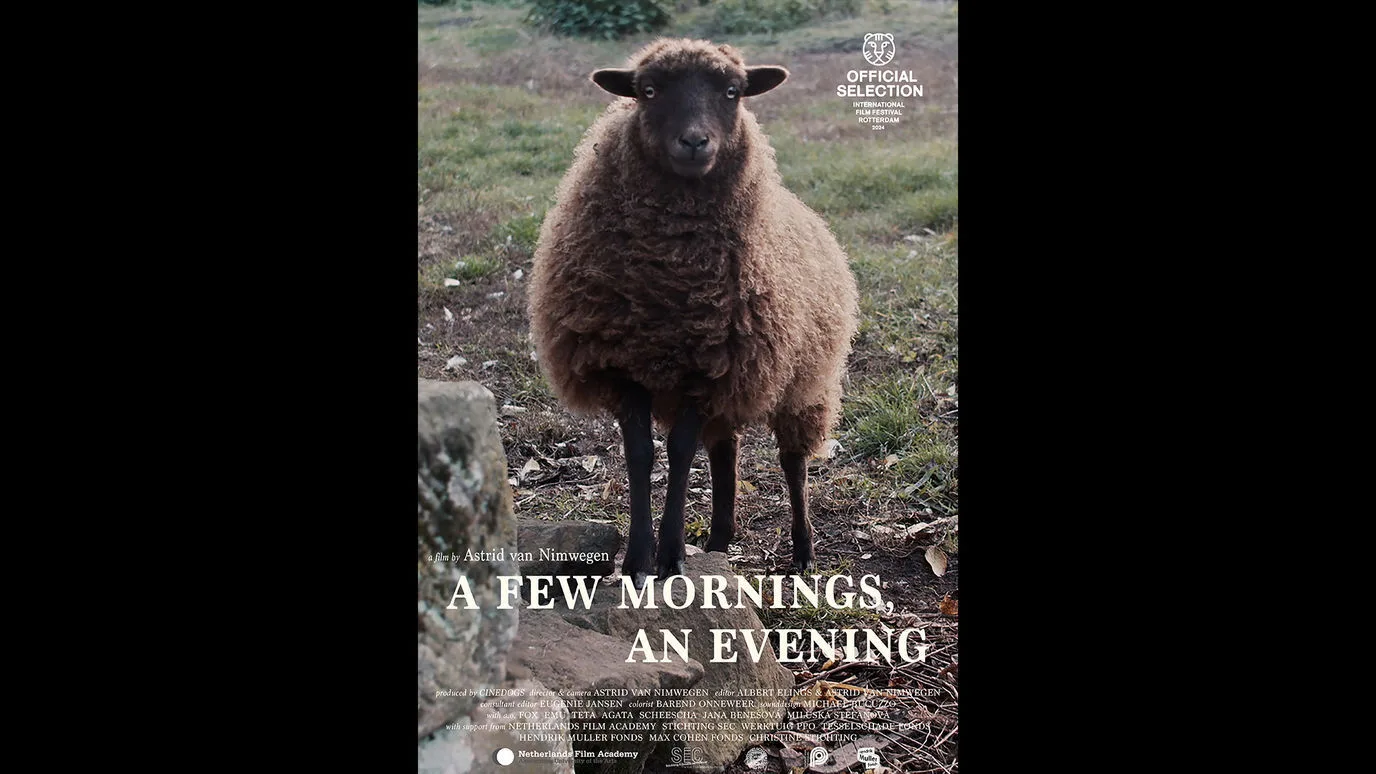 A Few Mornings, an Evening Cast, OTT, Budget, Box Office, And More