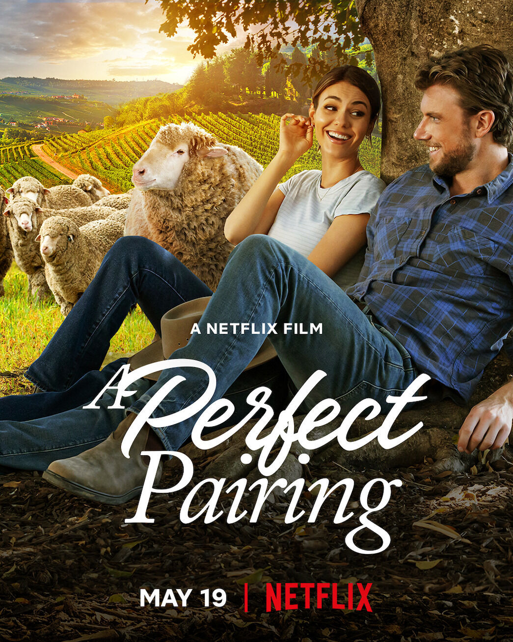 A Perfect Pairing Cast, OTT, Budget, Box Office, And More