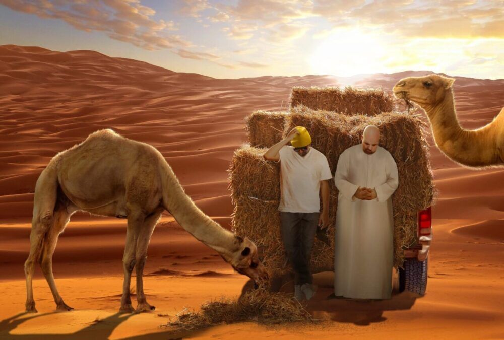 Camel Quest Cast, OTT, Budget, Box Office, And More