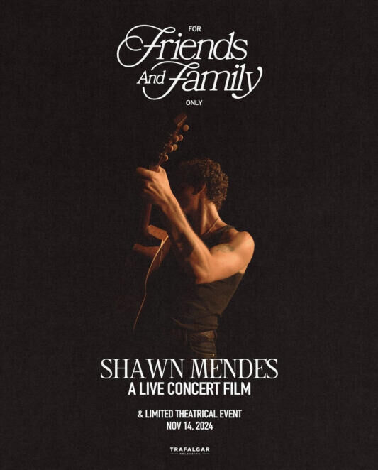 Shawn Mendes: For Friends and Family Only (A Live Concert Film) Cast, OTT, Budget, Box Office, And More