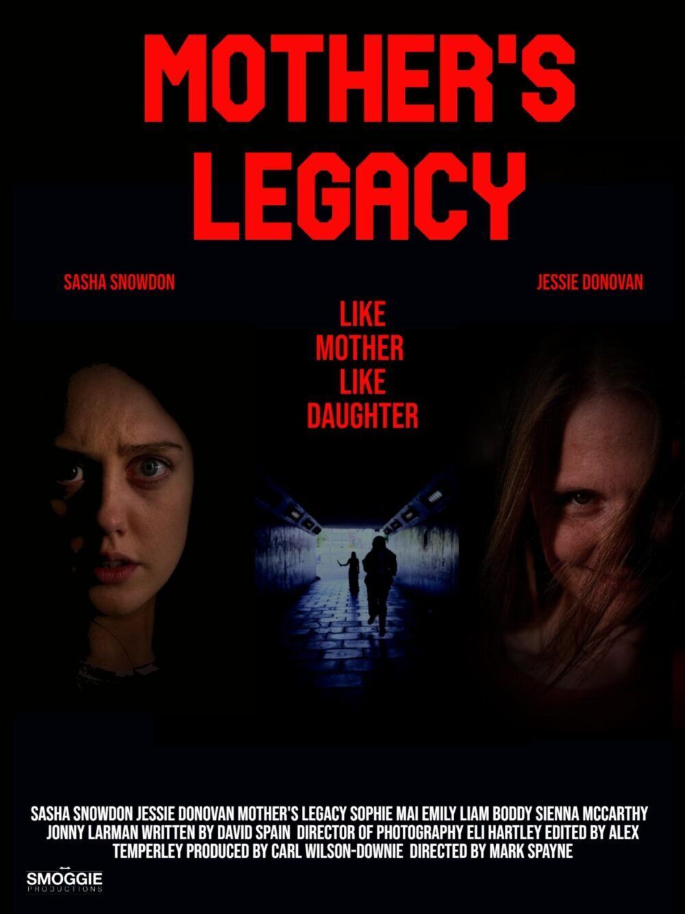 Mother&apos;s Legacy 2025 Movie Cast, OTT, Budget, Box Office, And More