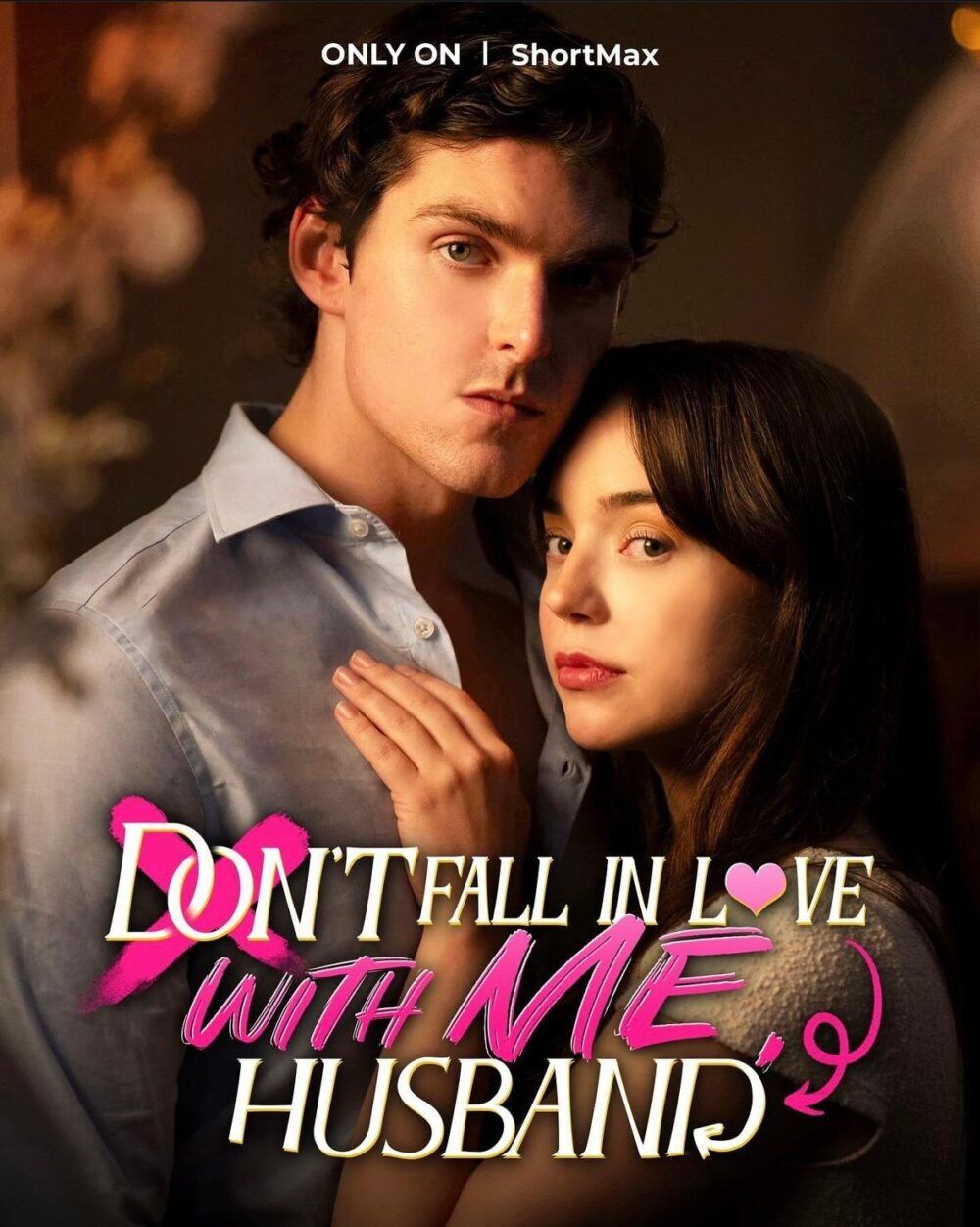 Don’t Fall in Love with Me, Husband Cast, OTT, Budget, Box Office, And More