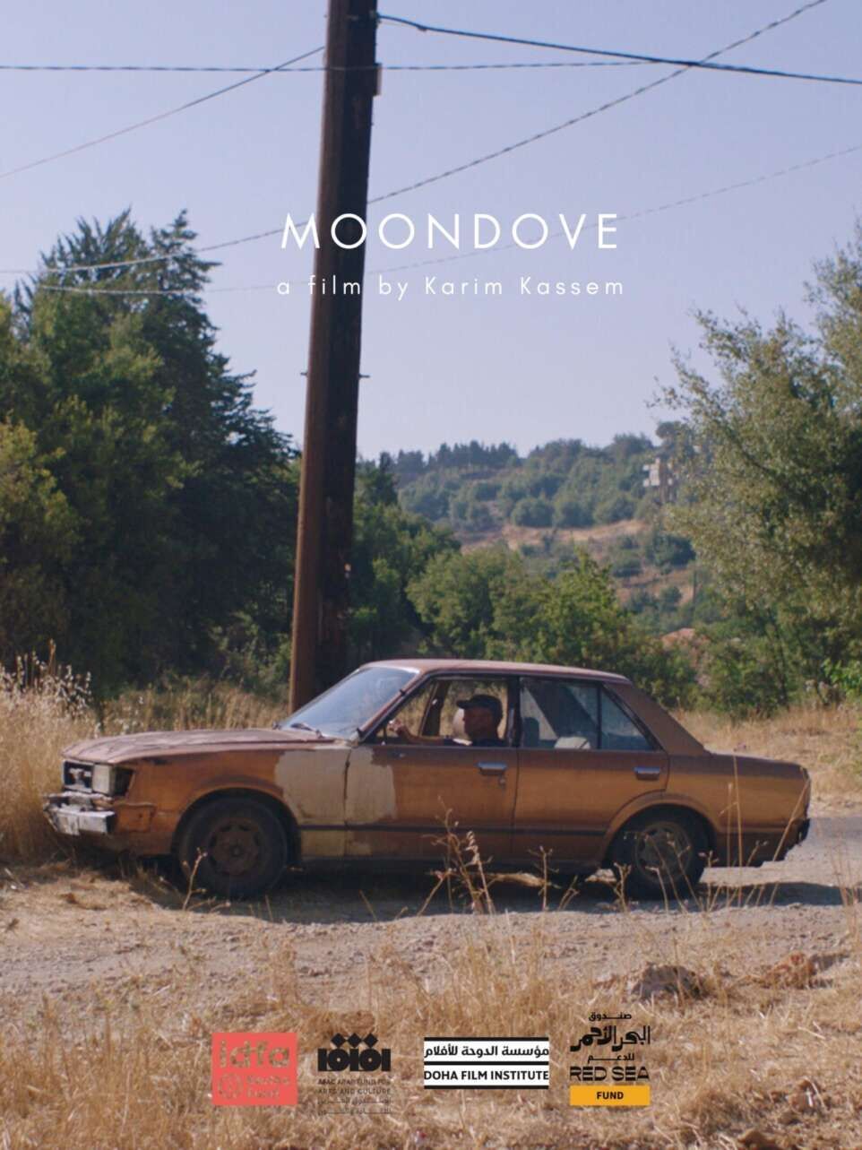 Moondove Cast, OTT, Budget, Box Office, And More