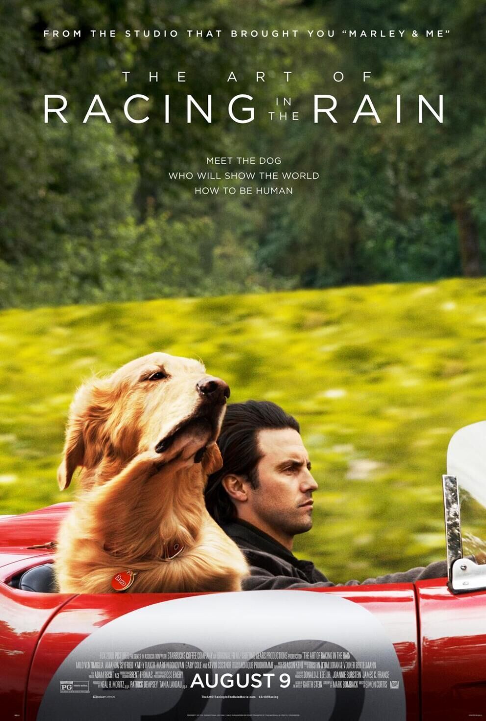 The Art of Racing in the Rain 2019 Movie Cast, OTT, Budget, Box Office, And More