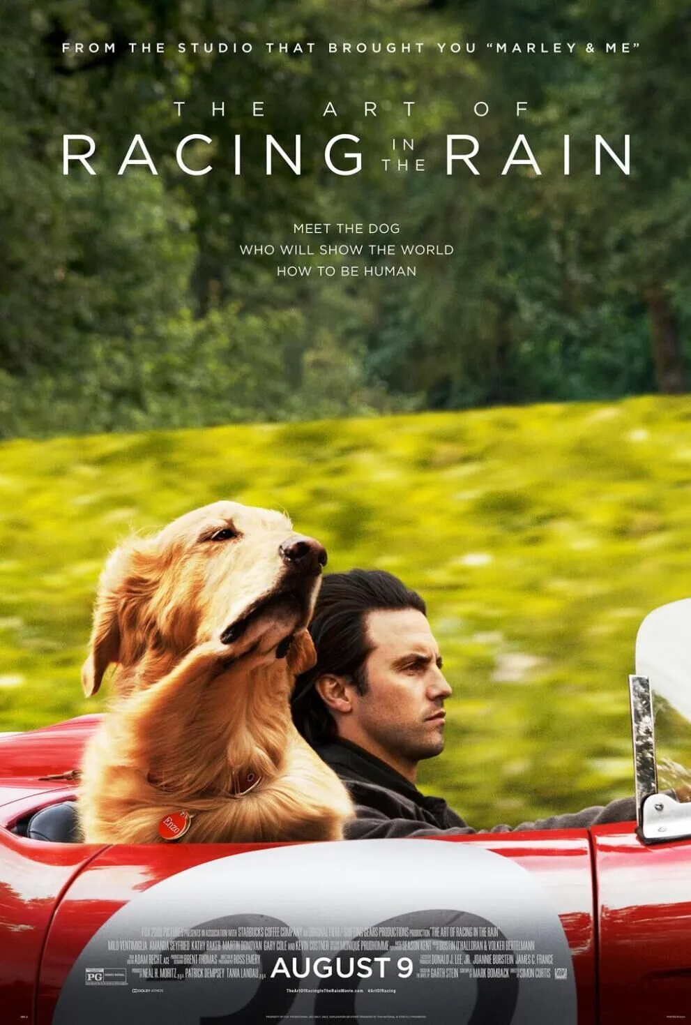 The Art of Racing in the Rain 2019 Movie Cast, OTT, Budget, Box Office, And More