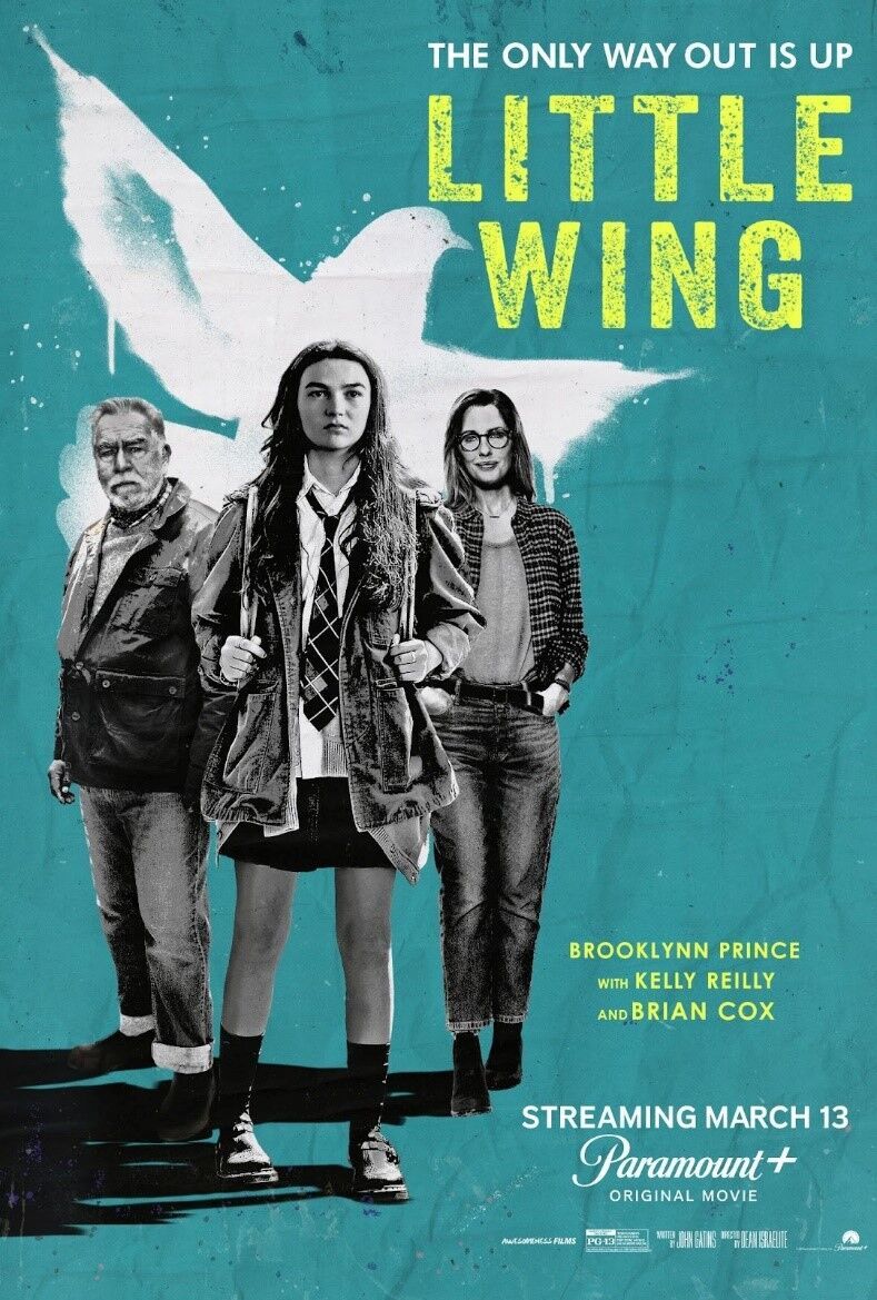 Little Wing Cast, OTT, Budget, Box Office, And More