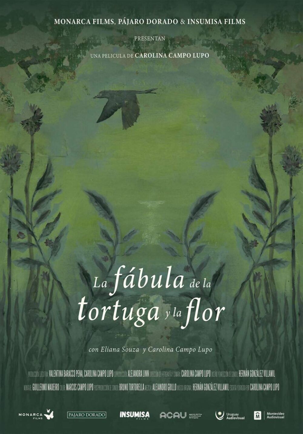 La fu00e1bula de la tortuga y la flor 2025 Movie Cast, OTT, Budget, Box Office, And More