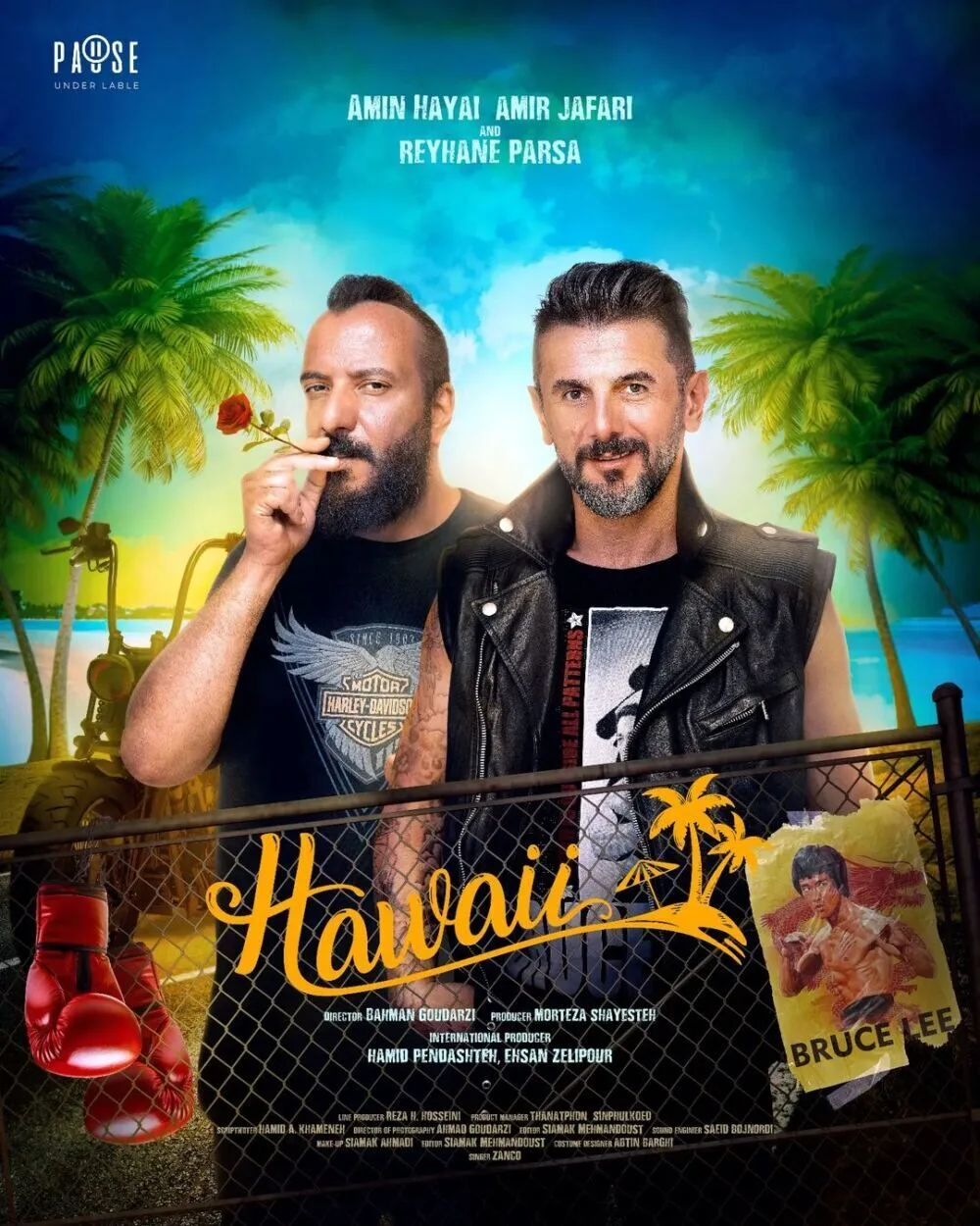 Hawaii Cast, OTT, Budget, Box Office, And More