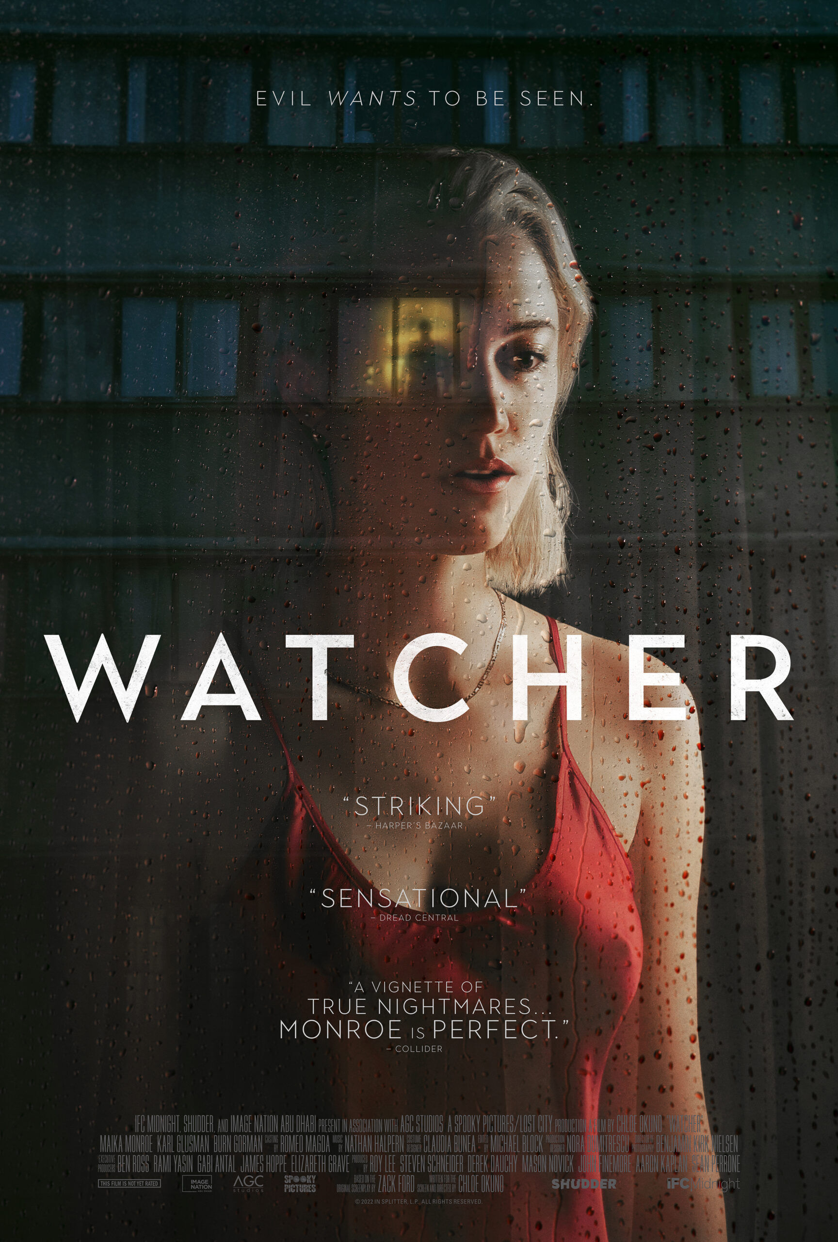 Watcher Cast, OTT, Budget, Box Office, And More