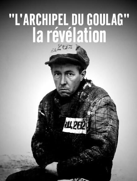 The Gulag Archipelago: The Book That Changed Russian History Cast, OTT, Budget, Box Office, And More