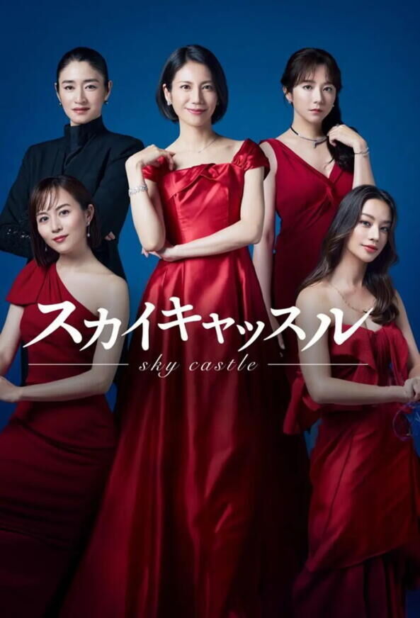 Sky Castle Cast, OTT, Budget, Box Office, And More