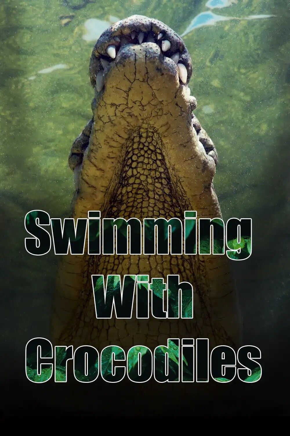 Swimming with Crocodiles 2025 Movie Cast, OTT, Budget, Box Office, And More