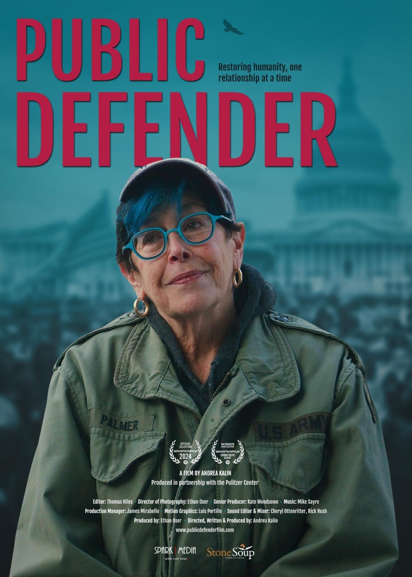 Public Defender Cast, OTT, Budget, Box Office, And More