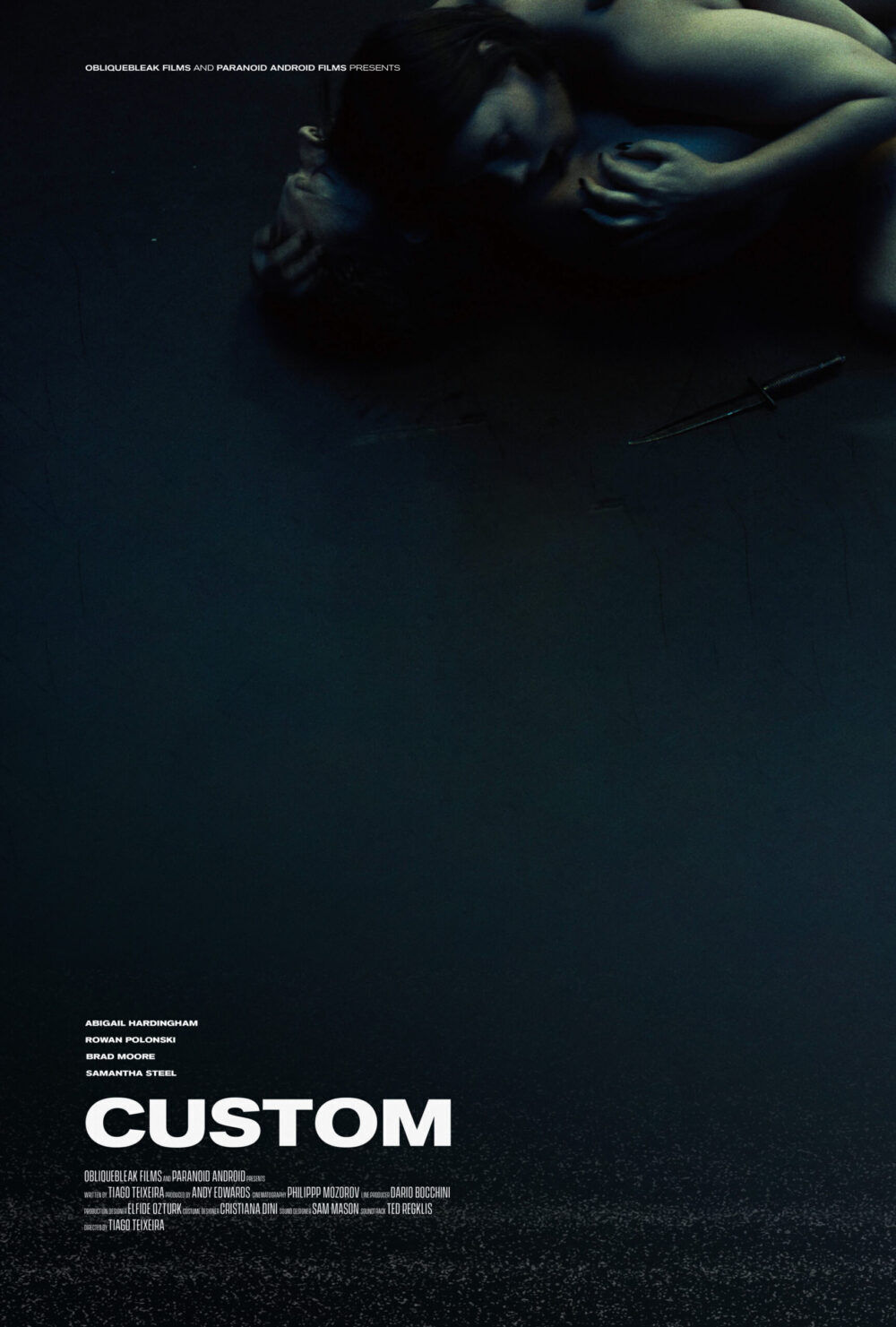 Custom Cast, OTT, Budget, Box Office, And More