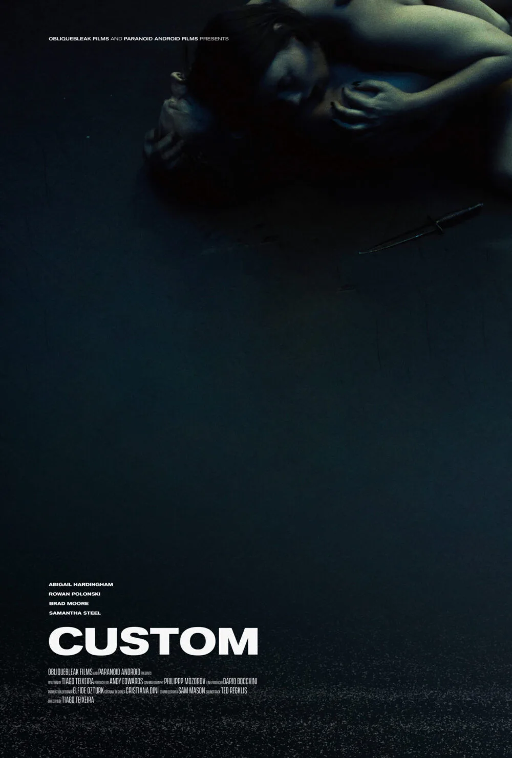 Custom Cast, OTT, Budget, Box Office, And More