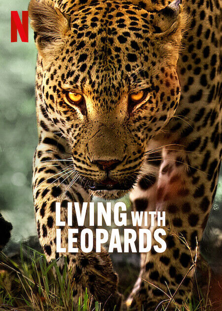 Living with Leopards Cast, OTT, Budget, Box Office, And More