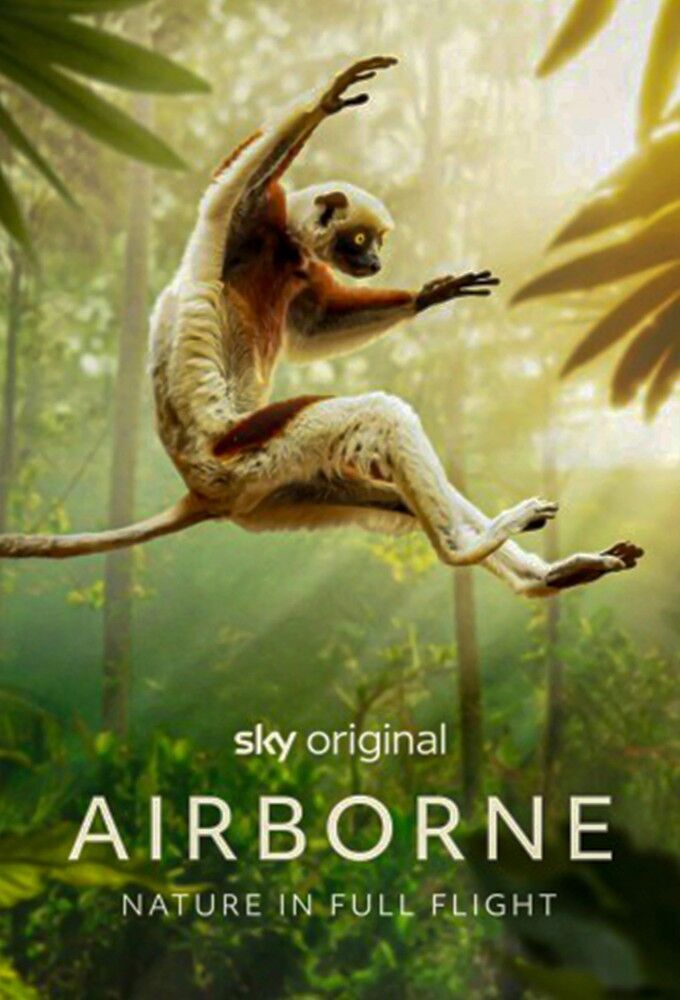 Airborne Cast, OTT, Budget, Box Office, And More