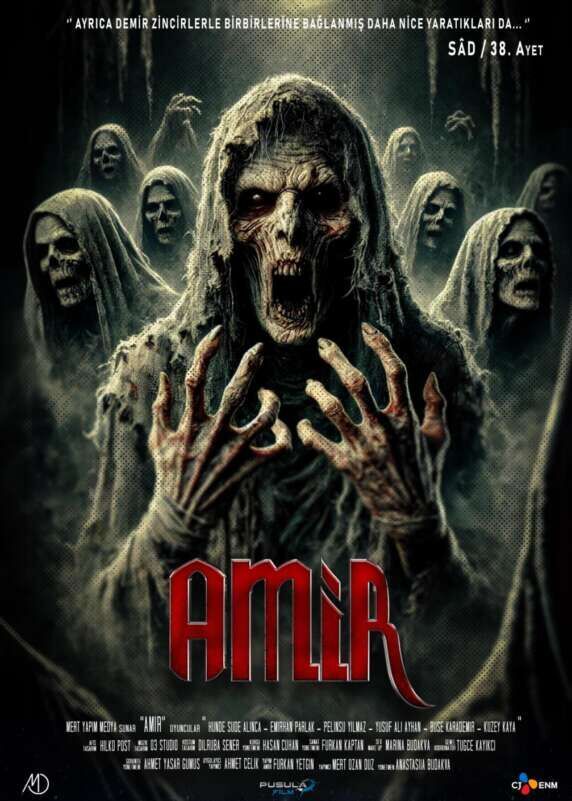 Amir Cast, OTT, Budget, Box Office, And More