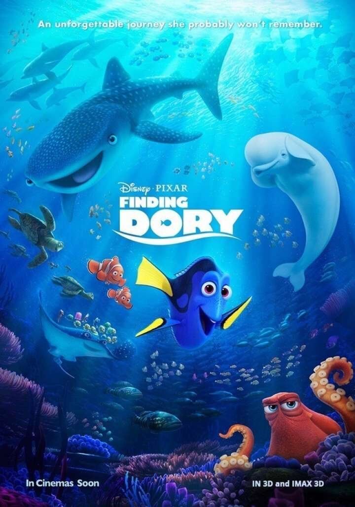 Finding Dory 2016 Movie Cast, OTT, Budget, Box Office, And More