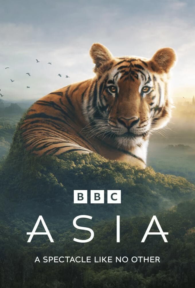 Asia Cast, OTT, Budget, Box Office, And More