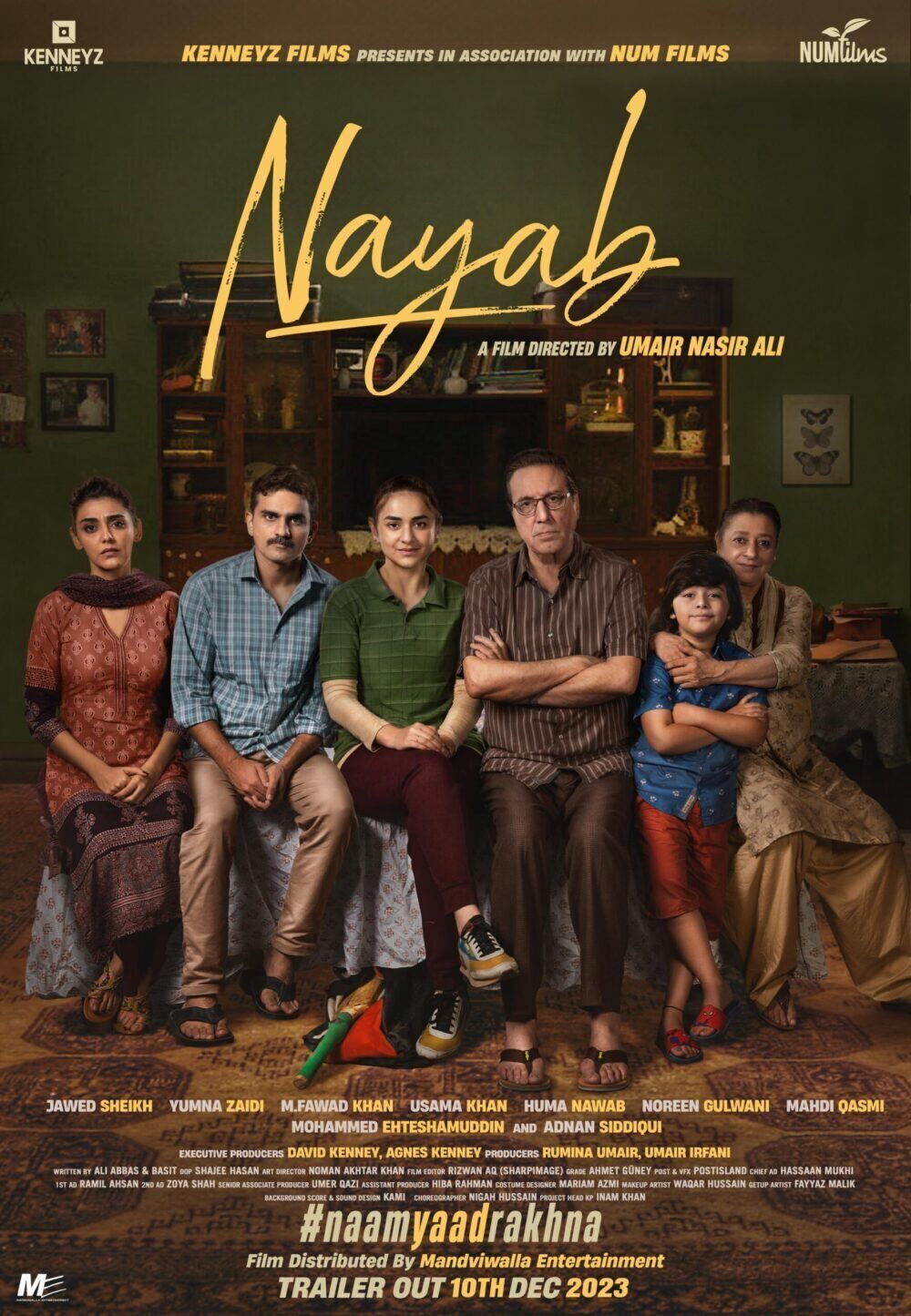 Nayab Cast, OTT, Budget, Box Office, And More