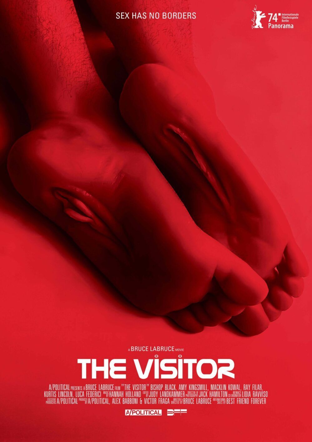 The Visitor Cast, OTT, Budget, Box Office, And More