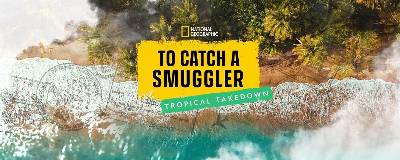 To Catch a Smuggler: Tropical Takedown Cast, OTT, Budget, Box Office, And More
