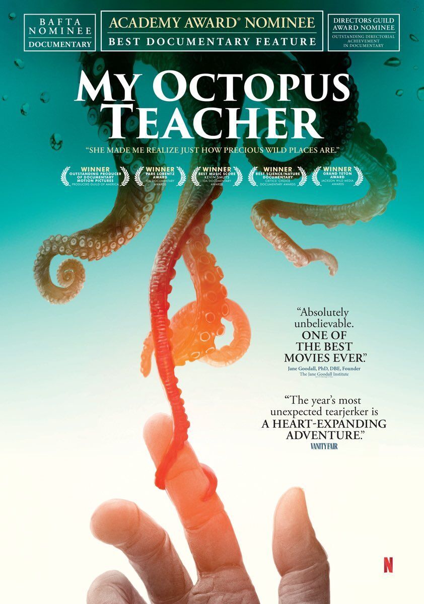 My Octopus Teacher 2020 Movie Cast, OTT, Budget, Box Office, And More