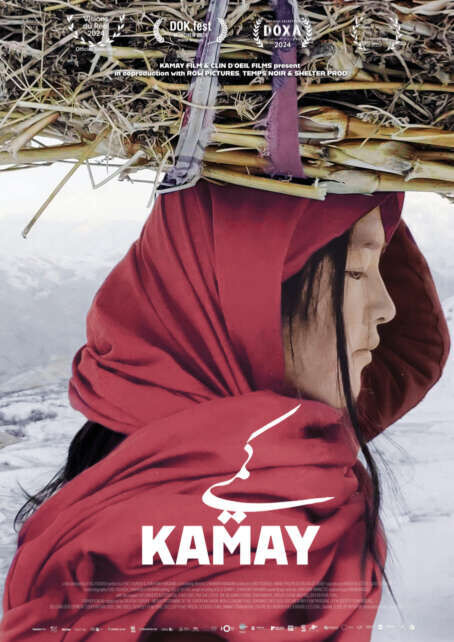 Kamay Cast, OTT, Budget, Box Office, And More