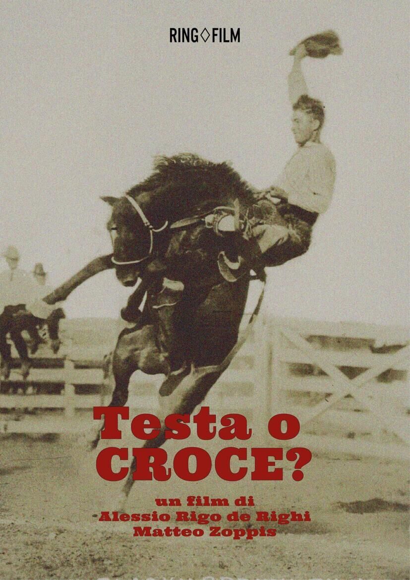 Testa o croce? 2025 Movie Cast, OTT, Budget, Box Office, And More