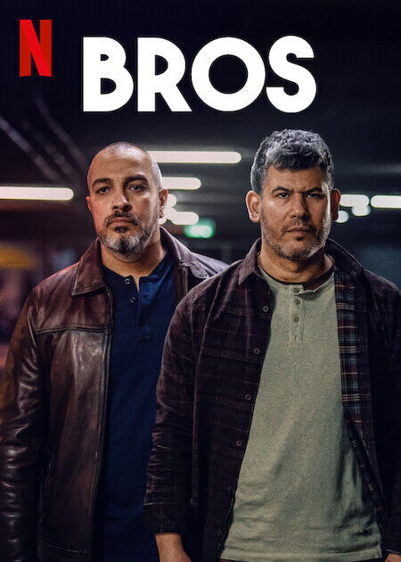 Bros Cast, OTT, Budget, Box Office, And More