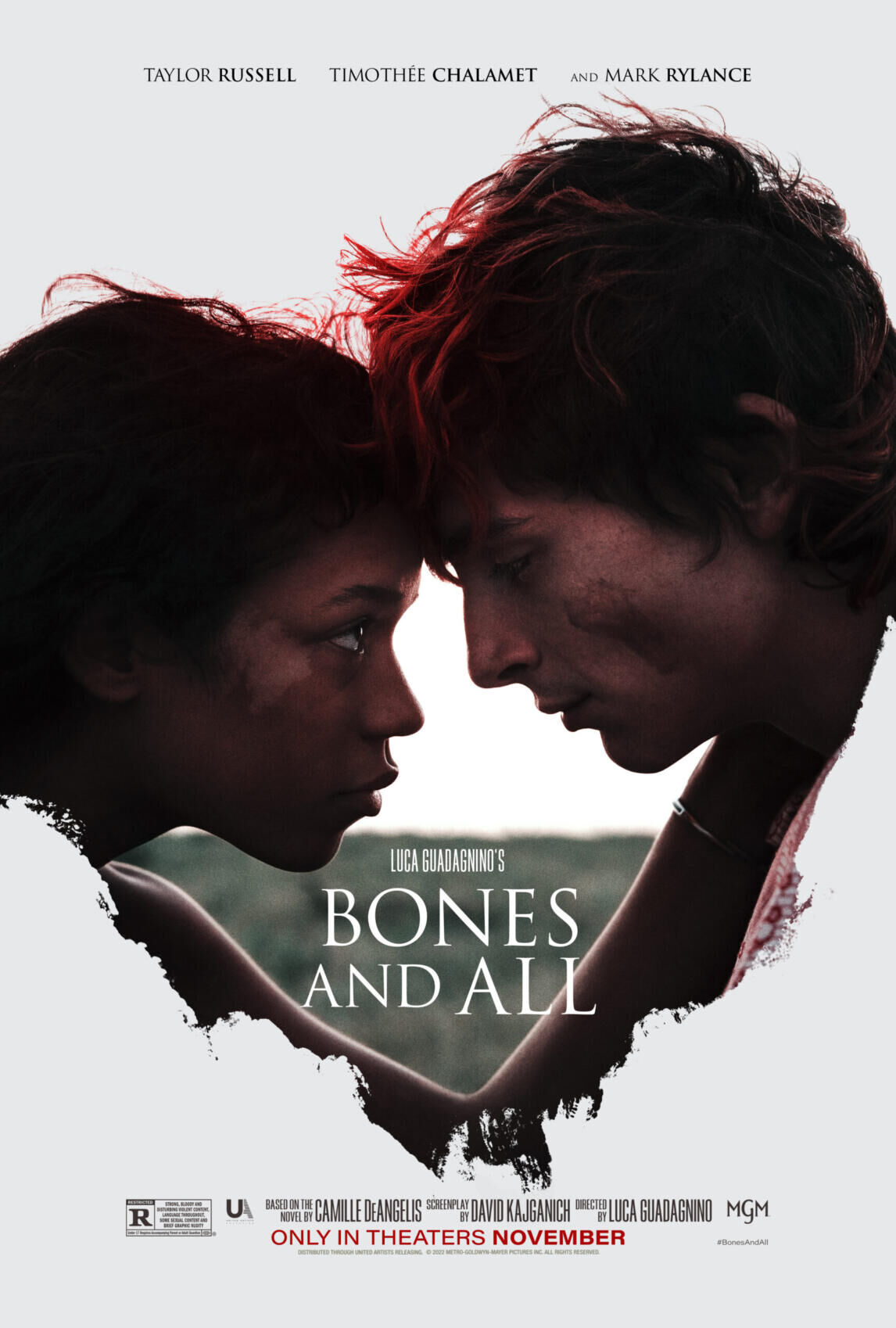Bones and All Cast, OTT, Budget, Box Office, And More