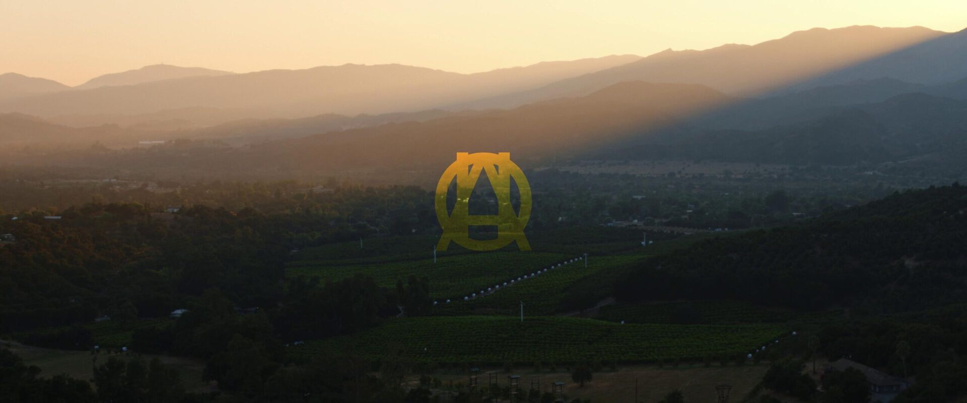 Ojai 2025 Movie Cast, OTT, Budget, Box Office, And More