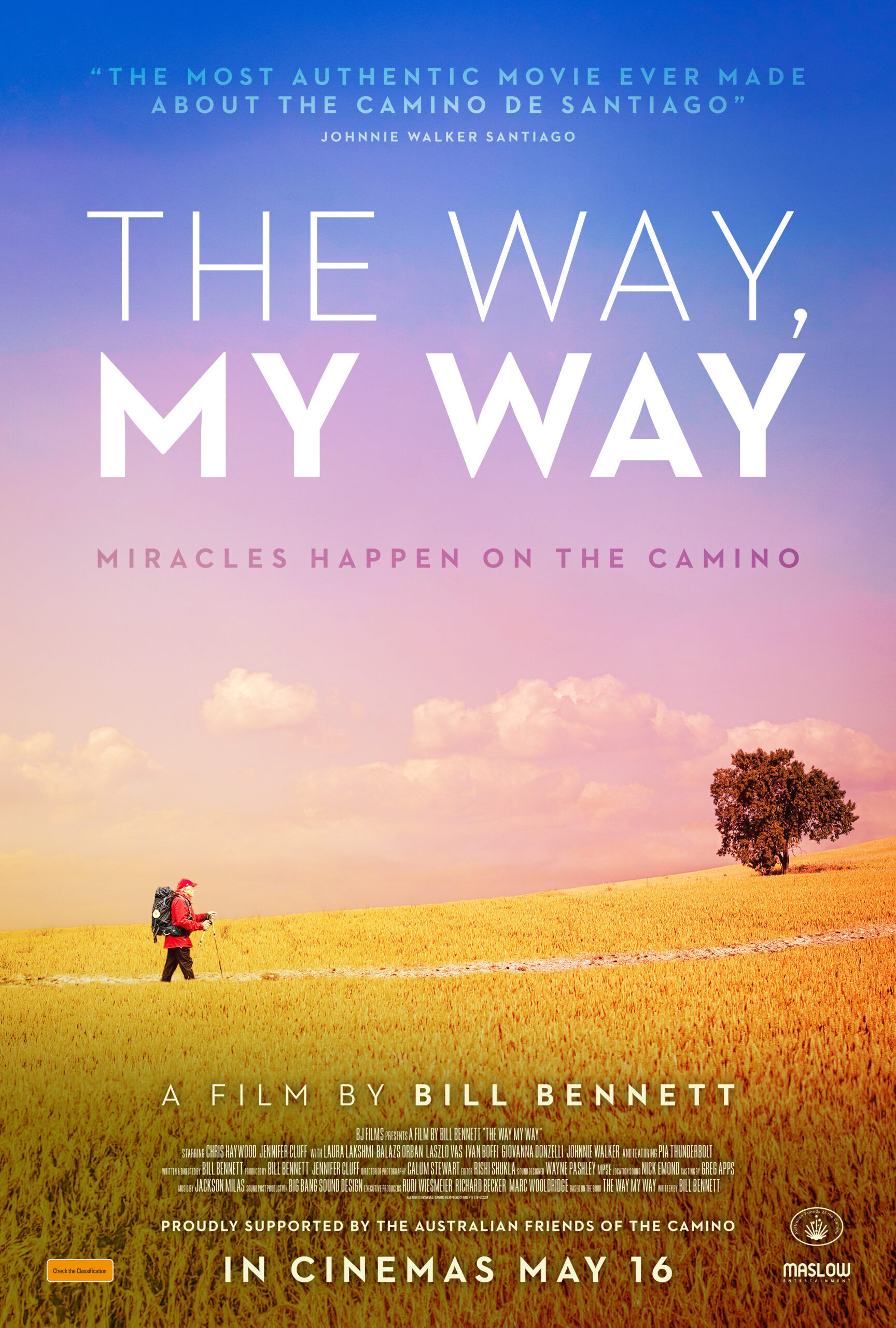 The Way, My Way Cast, OTT, Budget, Box Office, And More