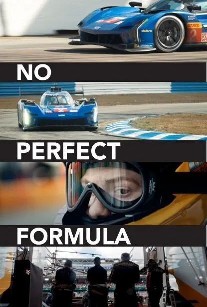 No Perfect Formula Cast, OTT, Budget, Box Office, And More