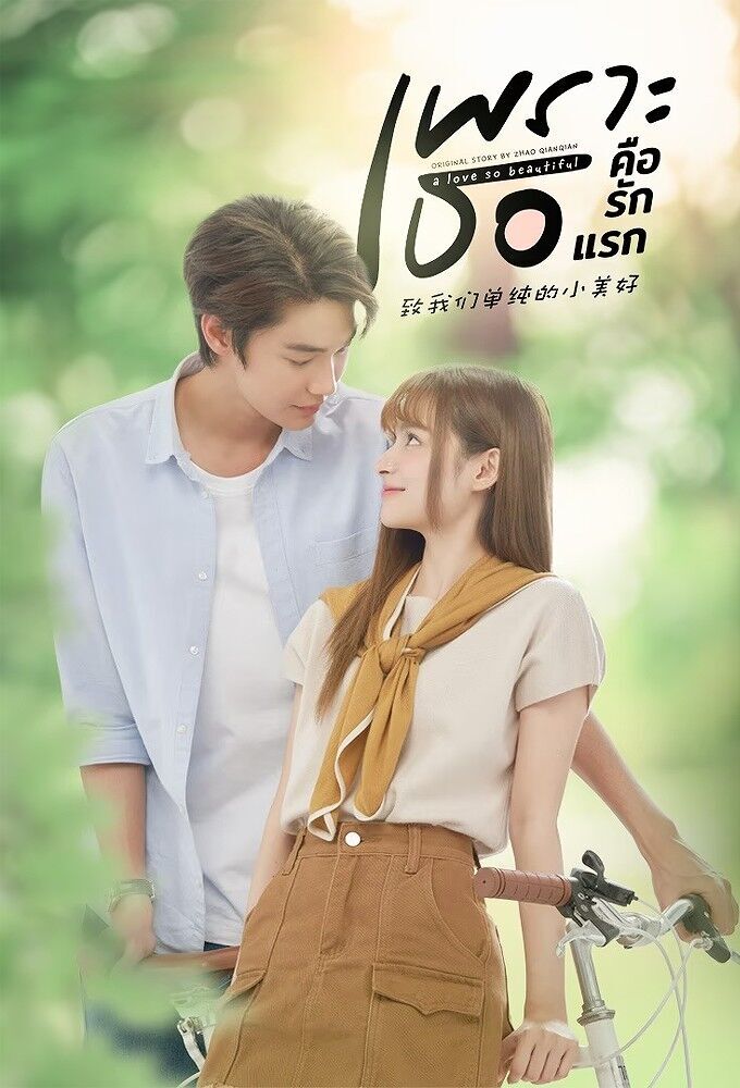 A Love So Beautiful Cast, OTT, Budget, Box Office, And More