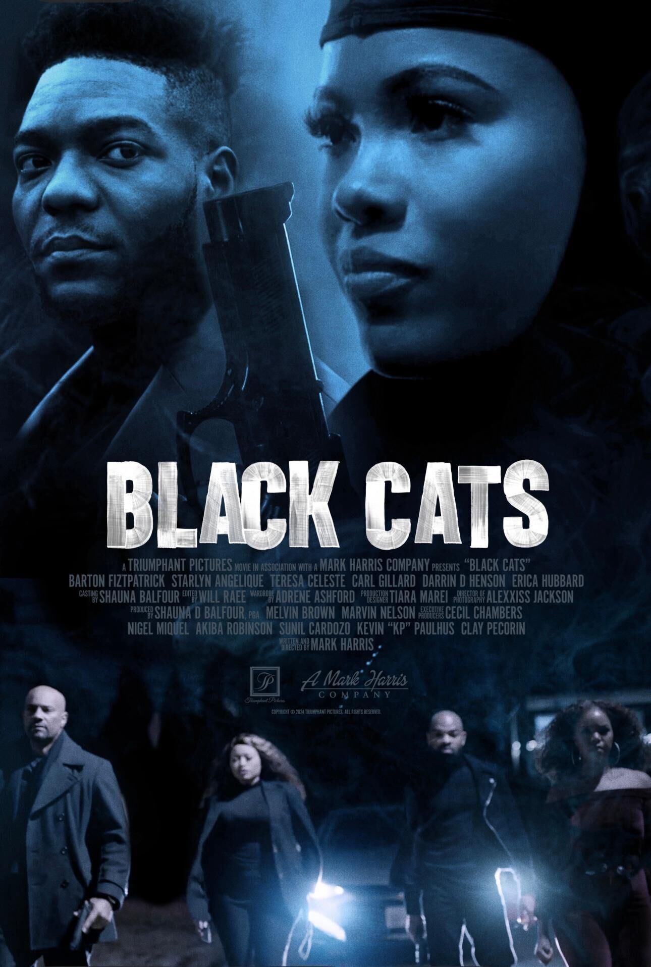 Black Cats 2025 Movie Cast, OTT, Budget, Box Office, And More