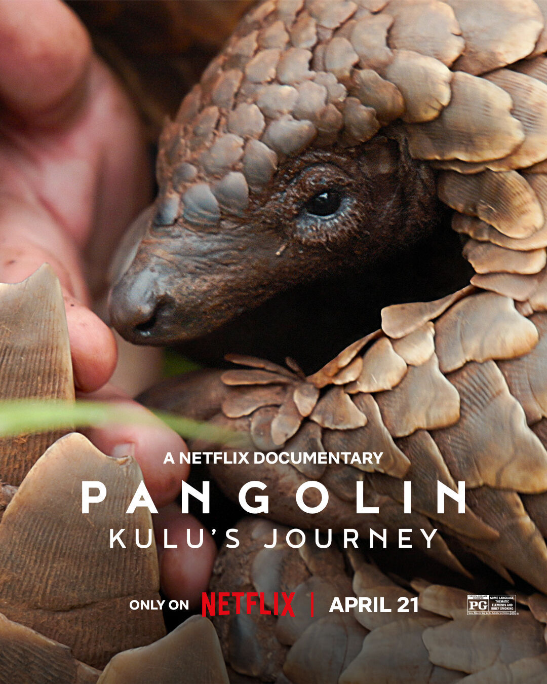 Pangolin: Kulu&apos;s Journey 2025 Movie Cast, OTT, Budget, Box Office, And More