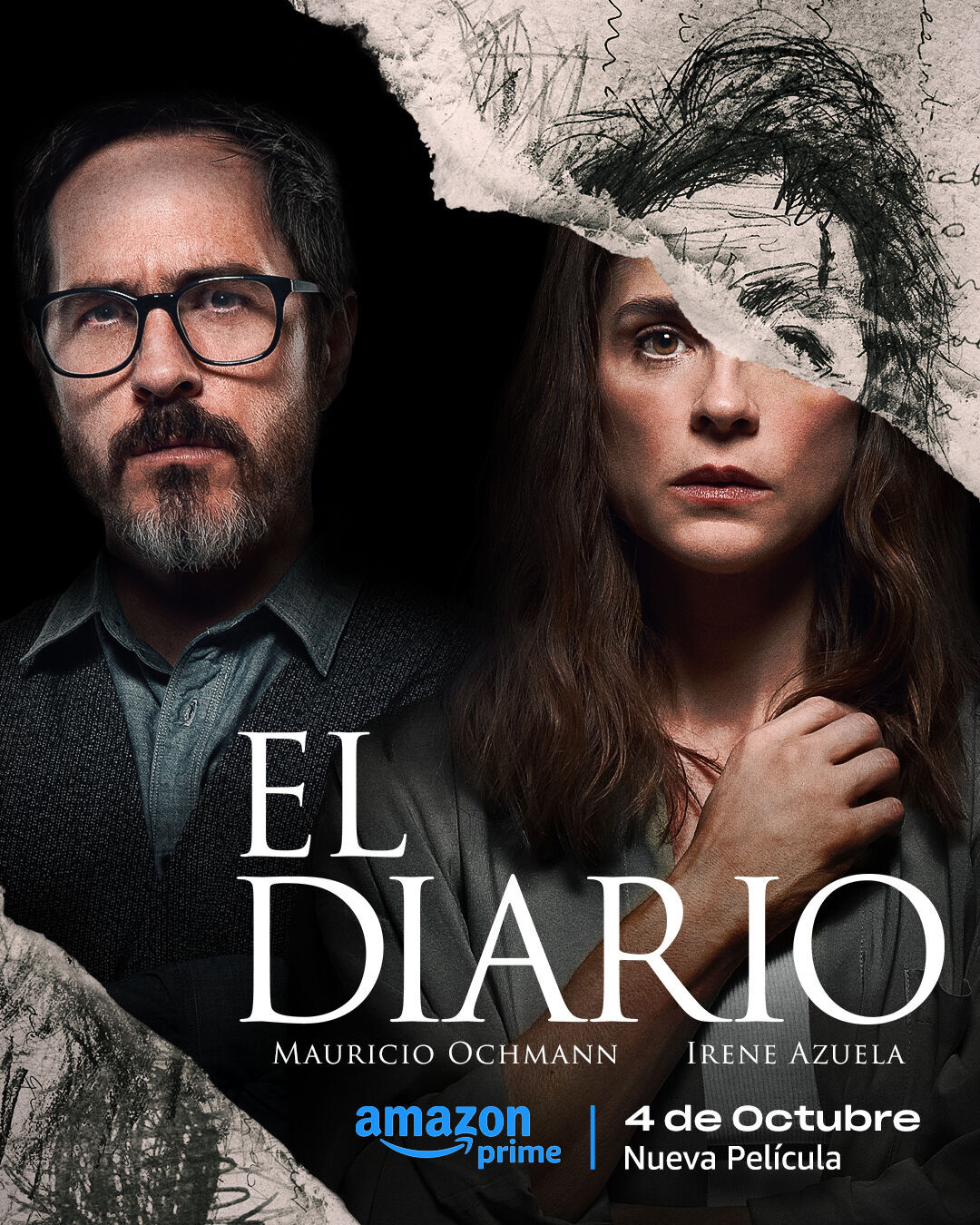 The Diary Cast, OTT, Budget, Box Office, And More