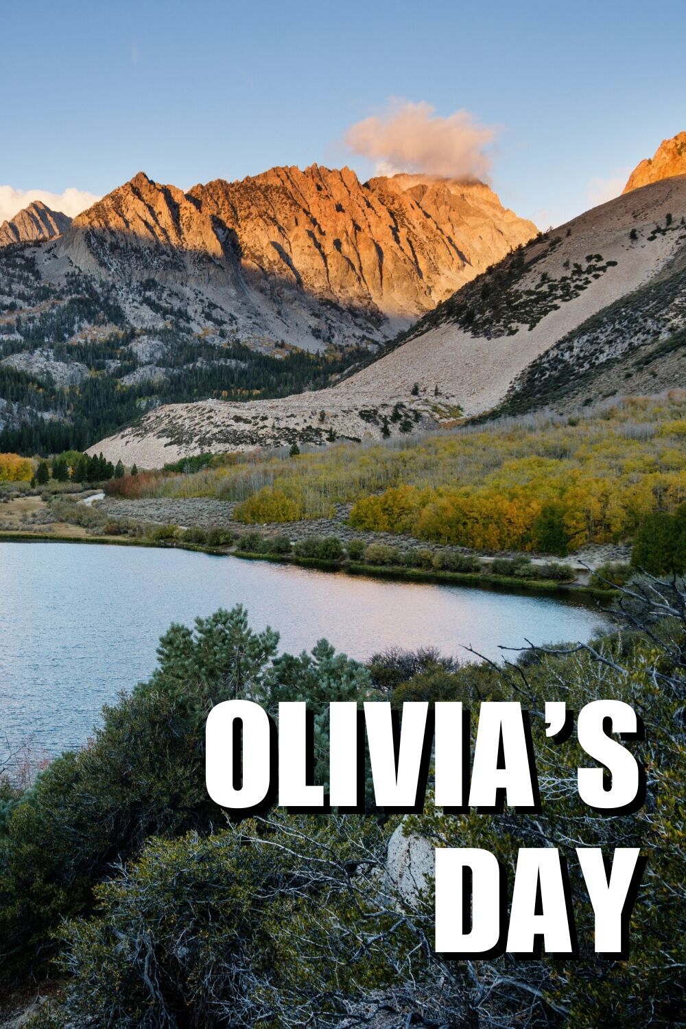 Olivia&apos;s Day 2025 Movie Cast, OTT, Budget, Box Office, And More