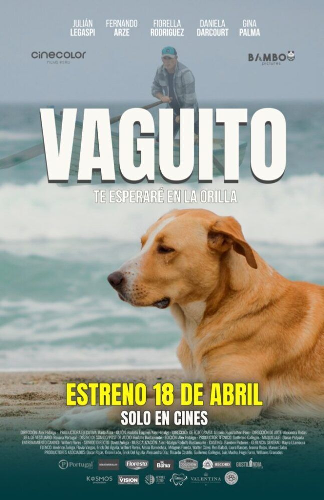 Vaguito Cast, OTT, Budget, Box Office, And More