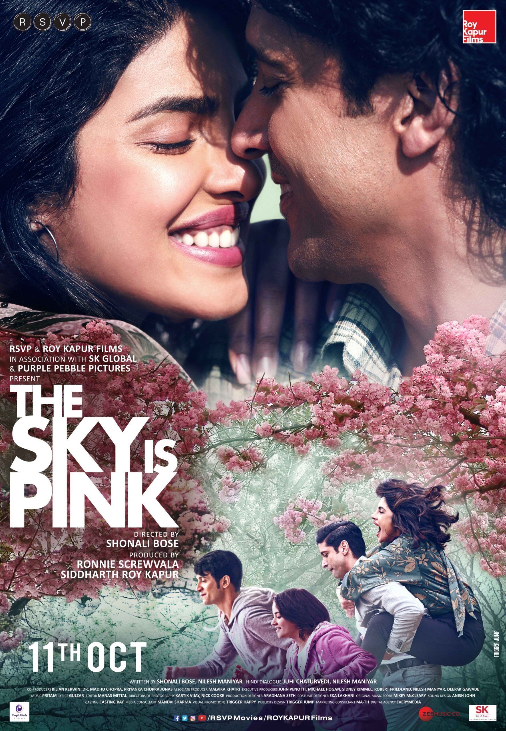 The Sky Is Pink 2019 Movie Cast, OTT, Budget, Box Office, And More