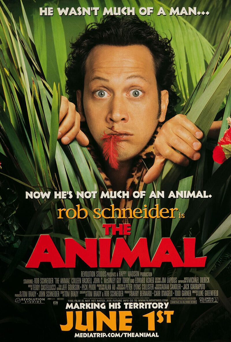 The Animal 2001 Movie Cast, OTT, Budget, Box Office, And More