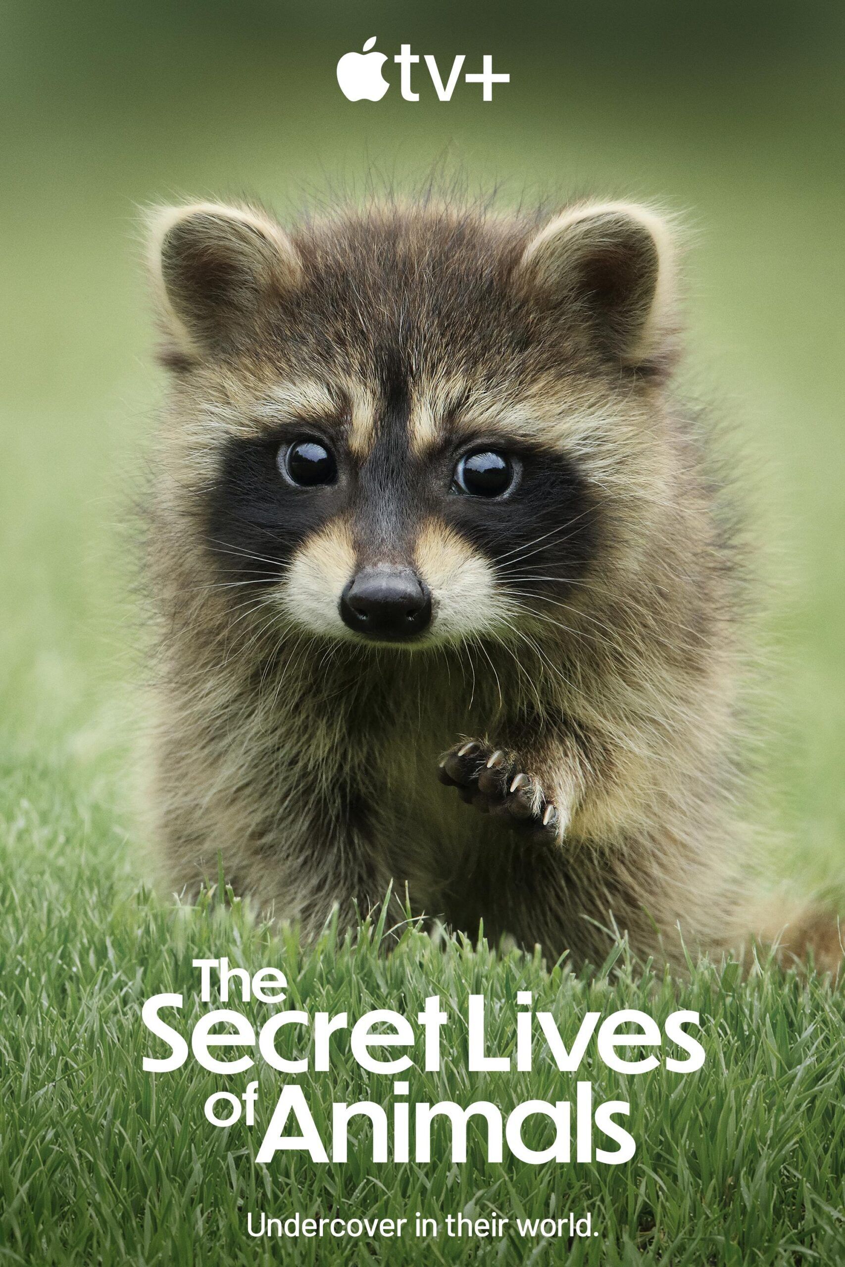 The Secret Lives of Animals Cast, OTT, Budget, Box Office, And More