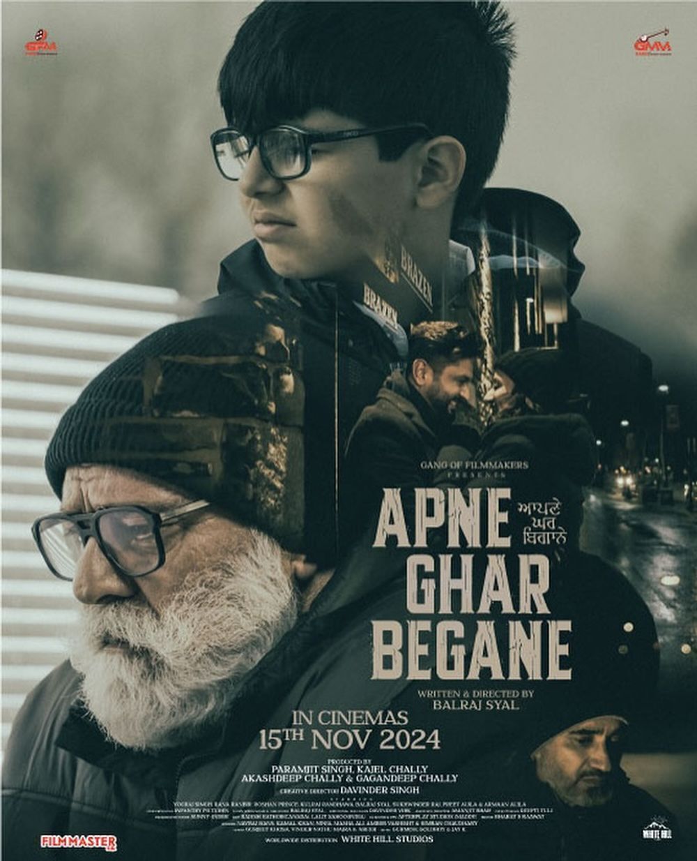 Apne Ghar Begane Cast, OTT, Budget, Box Office, And More
