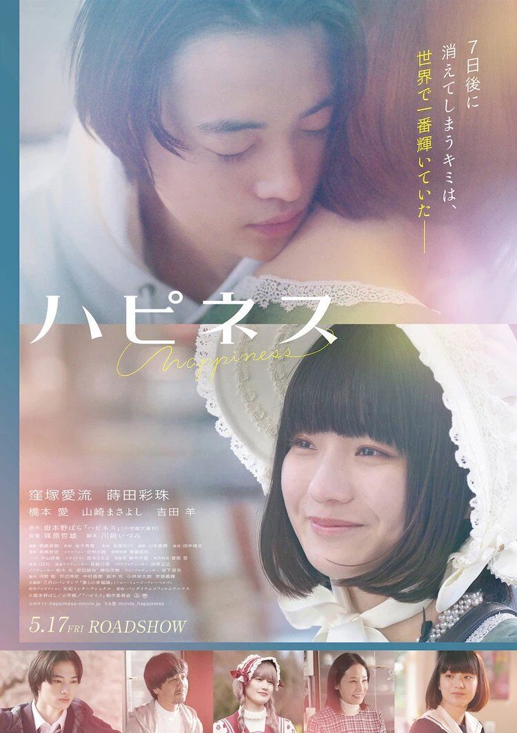 Happiness Cast, OTT, Budget, Box Office, And More