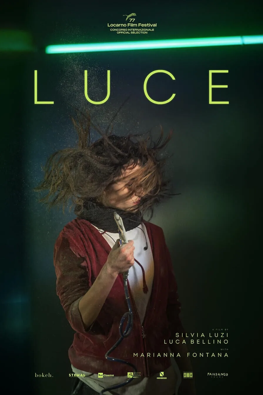 Luce Cast, OTT, Budget, Box Office, And More