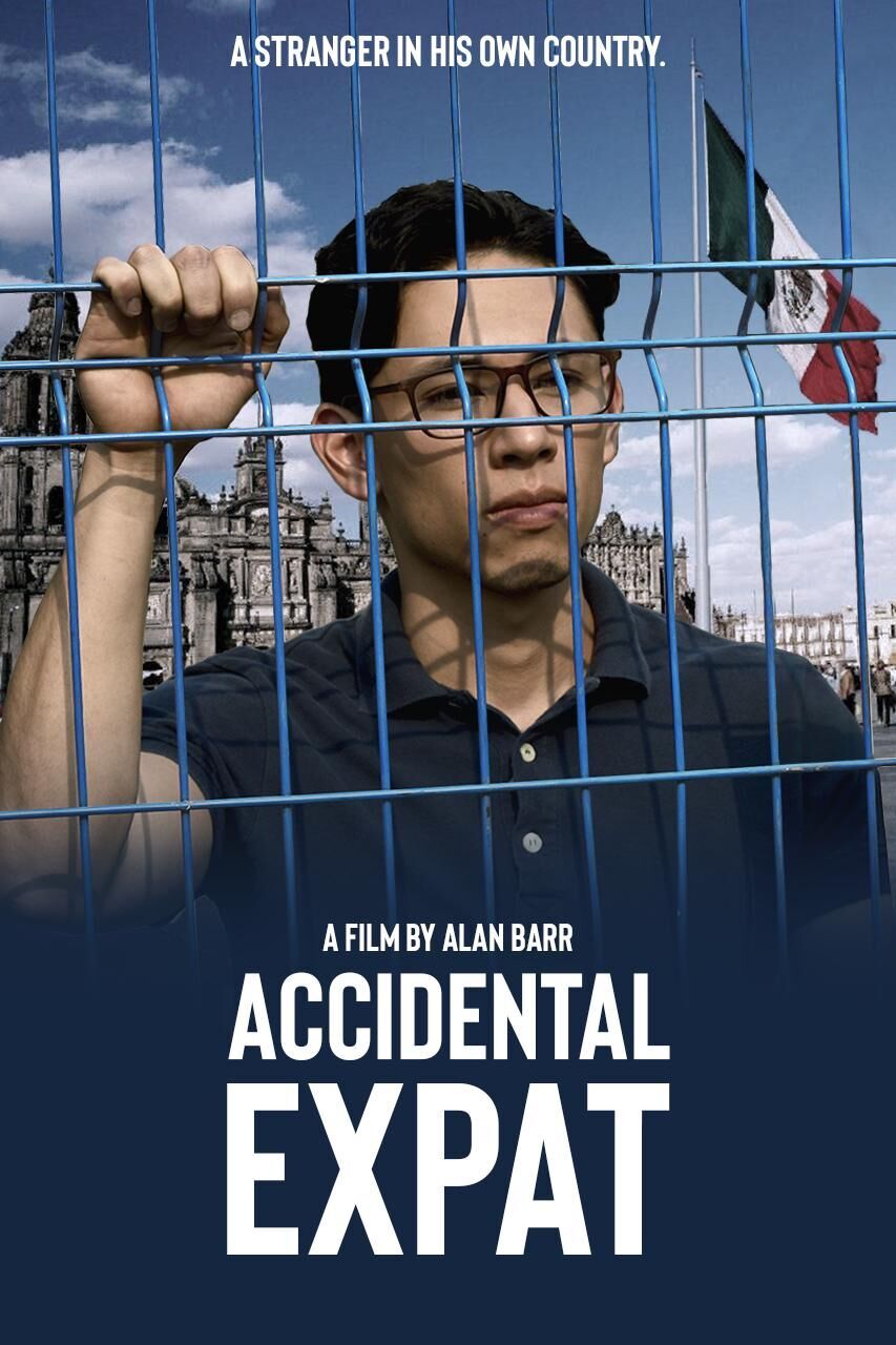 Accidental Expat 2025 Movie Cast, OTT, Budget, Box Office, And More