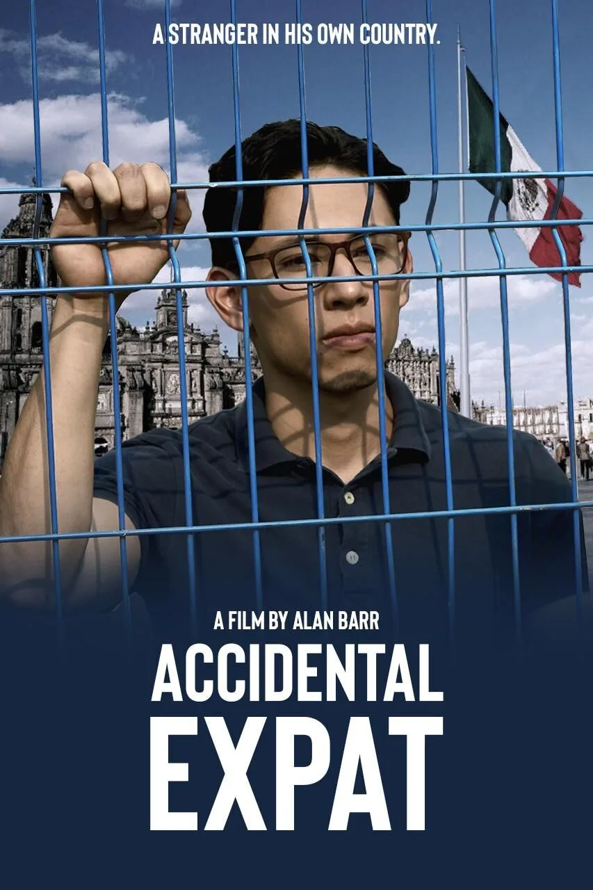 Accidental Expat 2025 Movie Cast, OTT, Budget, Box Office, And More